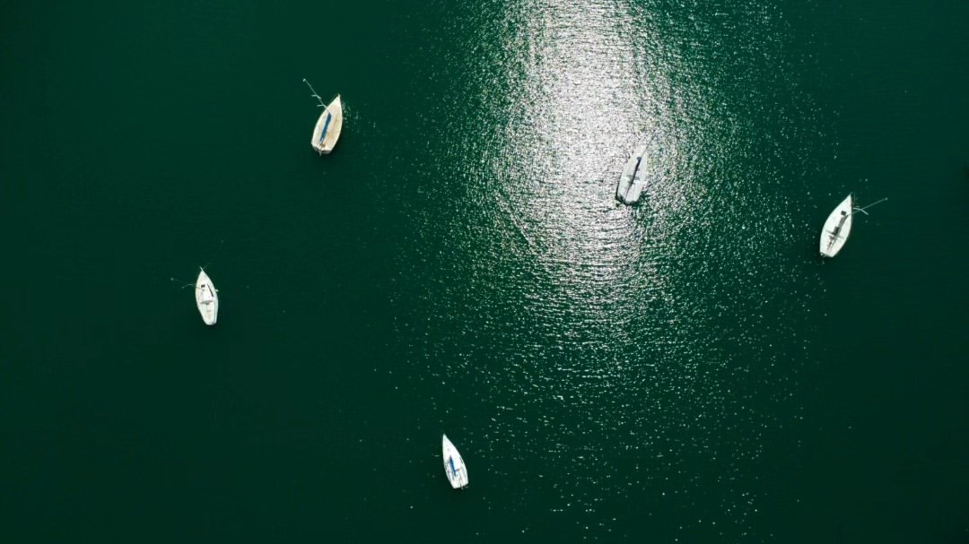 Veleros sobre agua verde, desde el dron
