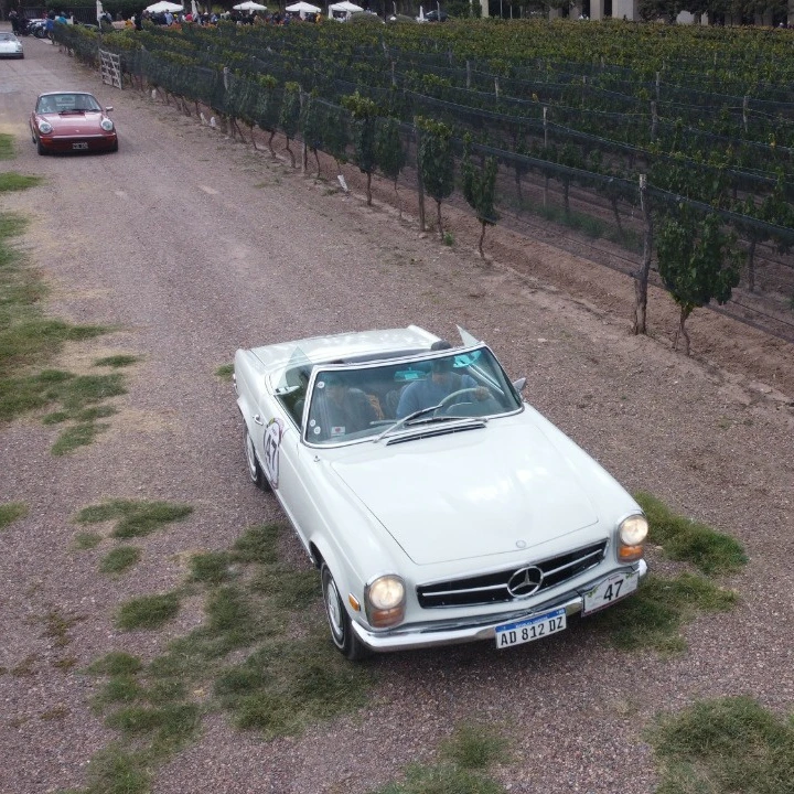 Rally de las Bodegas — entre viñedos, desde el dron