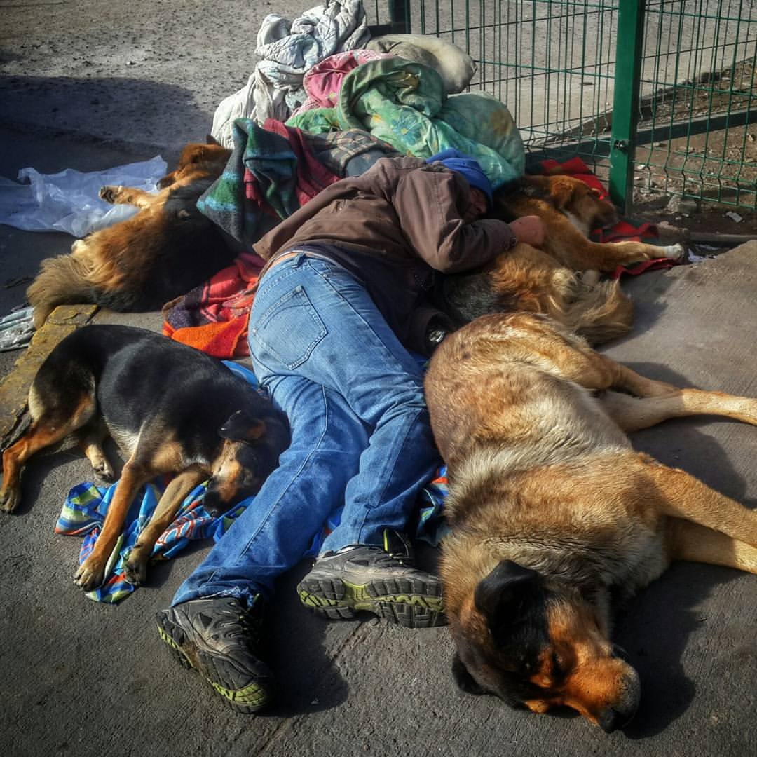 Hombre en situación de calle durmiendo junto a sus perros