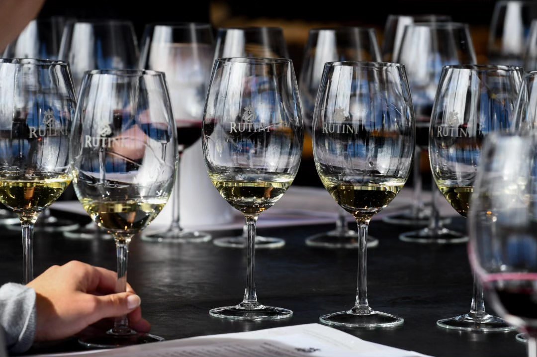 Copas de vino sobre la mesa de cata